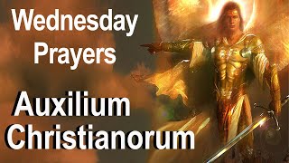 Auxilium Christianorum  Wednesday Deliverance Prayers for Use by the Laity Fr Chad Ripperger Video [upl. by Snook]