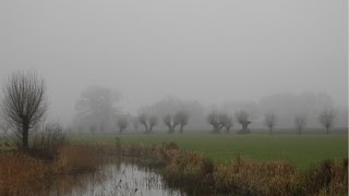 Weerbericht donderdagmiddag Morgen van tijd tot tijd zon [upl. by Amar316]