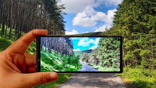 Sony Xperia XA1  video sample  FULL HD 1080p  camera test [upl. by Ivanna603]