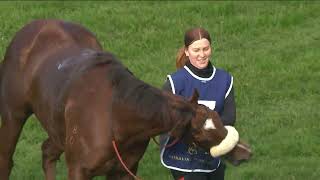 CAMPBELL ASHBY AND TYLER SCHILLER INTERVIEW  PATCHOULI DREAM WINS AT RANDWICK [upl. by Heddy]