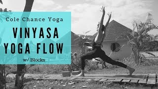 20 min Vinyasa Yoga Flow with Cole Chance [upl. by Glover]