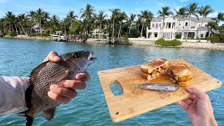 CATCH AND COOK MultiSpecies Fishing  Bonefish Snook Jack Bluefish and Grunt [upl. by Fulbert]