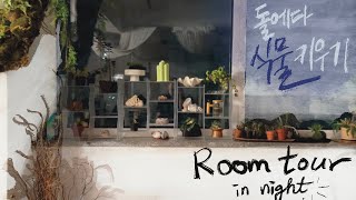 Room Tour석부작amp목부작 물주는 요령 이젠 과습이 지긋지긋해 밤의 정원놀이 투어 [upl. by Tamqrah]