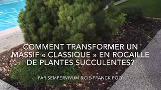 Comment réaliser une rocaille de plantes succulentes rustiques belles toute l’année [upl. by Parthena]