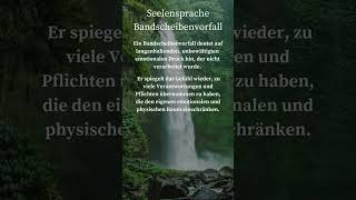 Seelensprache Bandscheibenvorfall rückenentlastung heiledichselbst energiemedizin Loslassen [upl. by Hadley]