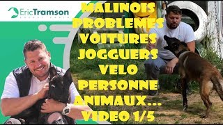 CHIOT MALINOIS INCONTRÔLABLE PRÉSENTE DES TROUBLES DU COMPORTEMENT AGRESSIF VIDEO 1 SUR 5 [upl. by Nilra]