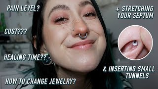 a 101 guide on septum piercings [upl. by Saucy]