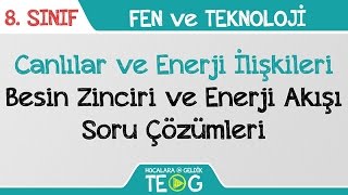 Canlılar ve Enerji İlişkileri  Besin Zinciri ve Enerji Akışı Soru Çözümleri [upl. by Gnolb982]