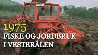 Fiske og jordbruk  er det fremtiden for Vesterålen 1975 [upl. by Aihseuqram]