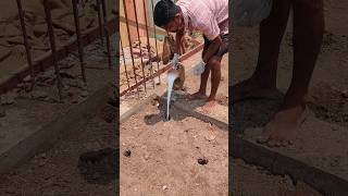 ANTI TERMITE TREATMENT OF OUR CONSTRUCTION SITE [upl. by Thessa318]