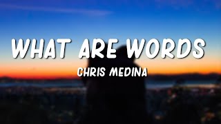 What Are Words  Chris Medina Lyrics [upl. by Euqinwahs277]