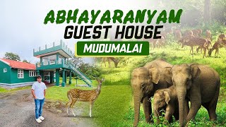 Abhayaranyam Guest House  വന്യമൃഗങ്ങളെ കണ്ട് മുദുമലൈ കാട്ടിനുള്ളിൽ താമസിക്കാം [upl. by Chafee707]