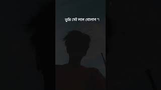 Srotoshini Lyrics Lofi 🖤🦋  ENCORE  Lyrics  স্রোতস্বিনী ✨ fypシ lyrics music hitsong [upl. by Dylane]