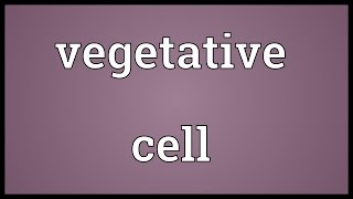 Vegetative cell Meaning [upl. by Frye]