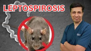 Leptospirosis lecture in hindi Leptospirosis treatment Weils disease in hindi [upl. by Drisko24]