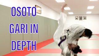 Osoto gari in depth [upl. by Ula]