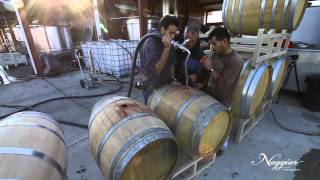 Vine to Wine Winemaking at Naggiar Vineyards [upl. by Notsae]