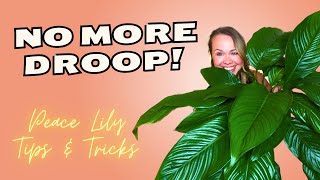 How to Care for your PEACE LILY Plant 🌱 [upl. by O'Doneven]