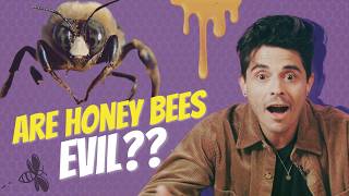 The REAL way to SAVE THE BEES  Know Brainers [upl. by Wavell]