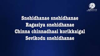 Snehithane Snehithane song lyrics song by Sadhana Sargam and Srinivas [upl. by Akinimod515]