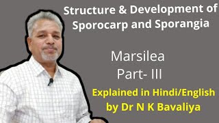 Structure and Development of Sporocarp and Sporangia of Marsilea by Dr N K Bavaliya Principal [upl. by Quiteris]