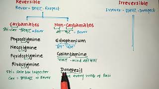 Cholinergic Drugs Classification Trick  Pharmacology  Vikas Bopinwar [upl. by Cirdla]