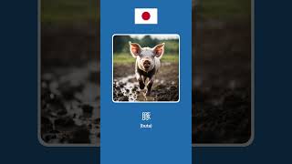 10 Common Animal Names in Japanese [upl. by Claiborn]