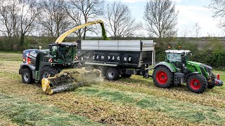 ENSILAGE XXL  700HA  KRONE BIG X 780 BLACK une journée avec lETA GRIMAULT [upl. by Burrow325]