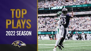 Top Plays of the Regular Season  Baltimore Ravens [upl. by Victorine198]