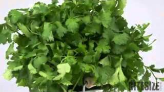 Coriander Cooking Tips and Uses [upl. by Ormand]