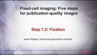 12 Fixation–Fixed cell imaging 5 steps for publicationquality images [upl. by Hertberg]