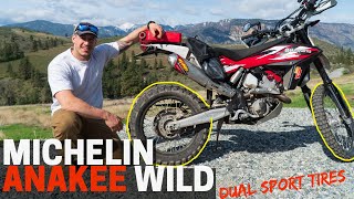 Michelin Anakee Wild Dual Sport Adventure Bike Tires First Impression [upl. by Thielen278]