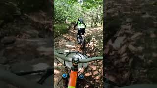 shorts 226  VTT MTB DH ENDURO RIDING [upl. by Ahseena]