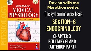 Pituitory gland introduction Divisionanterior pituitarypituitory hormones [upl. by Eves]