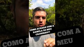 MELHOR COLÍRIO PARA CACHORRO COM OLHO REMELANDO MUITA SECREÇÃO NOS OLHOS FECHADOS FICANDO CEGO [upl. by Aonehc]