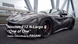 NOVITEC F12 NLargo S quotOne of Onequot Carbon Limited Edition  Part2 [upl. by Aicenod]