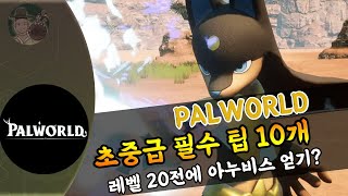 팰월드 20시간 했어도 다 모를걸 중반까지 알아야할 꿀팁 10개 [upl. by Doelling]