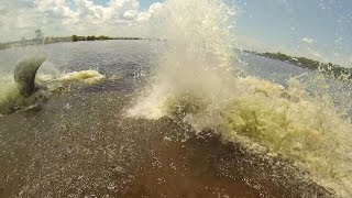 Angler Gets Soaked by Manatees [upl. by Yevol848]