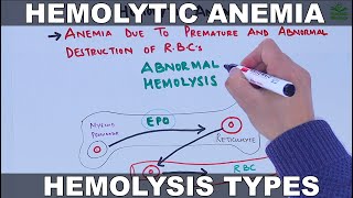 Hemolytic Anemia [upl. by Teeniv]