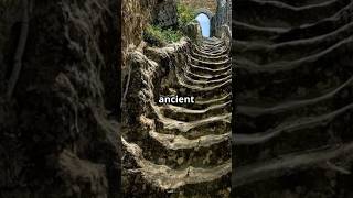 Eternal Steps The Timeless Sperlinga Castle Staircase adventure discover top facts mysterious [upl. by Shaia]