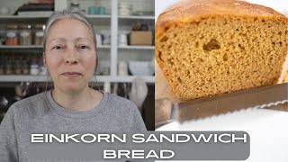 How to make and easy EINKORN sandwich loaf [upl. by Tavis]