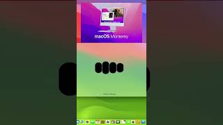 ChatGPT Reviews macOS 12 Monterey [upl. by Faubion966]