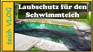 Blätter im Teich Wir testen die einfache Lösung mit dem Laubnetz [upl. by Gadmann916]