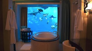 Check Out This Hotel Rooms Crazy View Into a 3 Million Gallon Aquarium [upl. by Teria]