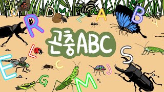 곤충ABC  Insects ABC Song  Phonics  Learn alphabet with bugs and worms  Kids draw [upl. by Rebmak]