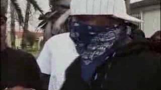 Crips amp Bloods from compton talking about The Game [upl. by Aleihs]