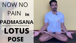 No more pain in padmasana  how to do padmasana  lotus pose step by step step  correction of asana [upl. by Dasa]