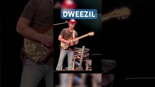 Dweezil Zappa 2024 live dweezilzappa [upl. by Borszcz]