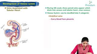 Development Venous system  Embryology Lecture [upl. by Shepard]