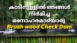 കാടിനുള്ളിൽ Brushwood check Dam ഉണ്ടാകുന്നത് കണ്ടിട്ടുണ്ടോforest wildlife saveforest [upl. by Drofdarb518]